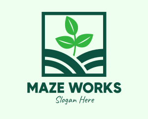 Organic Plant Seedling logo design