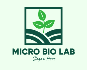 Organic Plant Seedling logo design