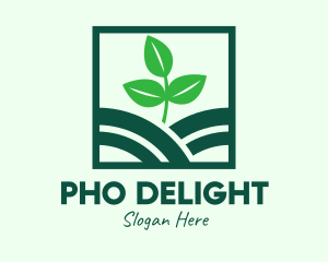 Organic Plant Seedling logo design