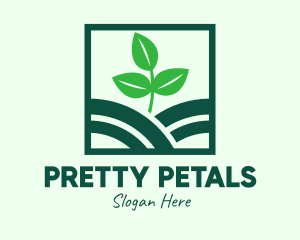 Organic Plant Seedling logo design