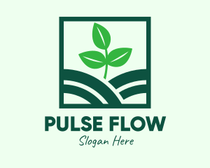 Organic Plant Seedling logo design