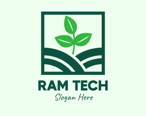 Organic Plant Seedling logo design