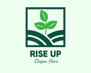 Organic Plant Seedling logo design