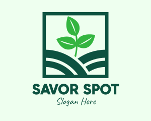 Organic Plant Seedling logo design