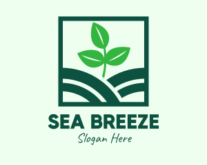 Organic Plant Seedling logo design