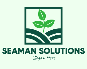 Organic Plant Seedling logo design