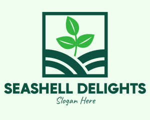 Organic Plant Seedling logo design