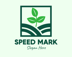 Organic Plant Seedling logo design