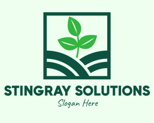 Organic Plant Seedling logo design