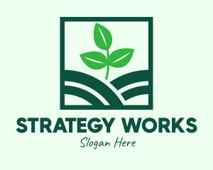 Organic Plant Seedling logo design