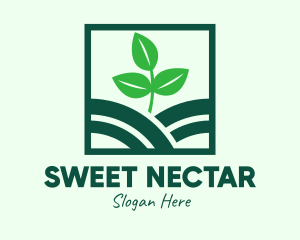 Organic Plant Seedling logo design