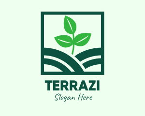 Organic Plant Seedling logo design