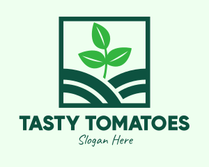 Organic Plant Seedling logo design