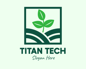 Organic Plant Seedling logo design