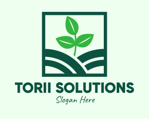 Organic Plant Seedling logo design