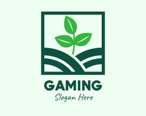 Plant - Organic Plant Seedling logo design