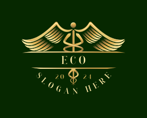 Medical Healthcare Caduceus Logo