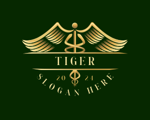 Diagnostics - Medical Healthcare Caduceus logo design