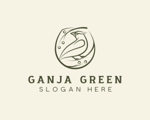 Green Lark Bird logo design