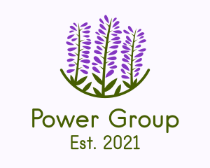 Extract - Lavender Flower Garden logo design