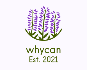 Scented Oil - Lavender Flower Garden logo design