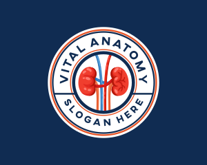 Kidney Organ Anatomy logo design