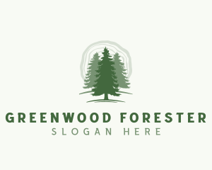 Pine Forest Tree logo design