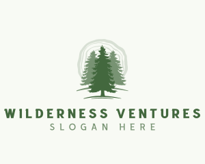 Pine Forest Tree logo design