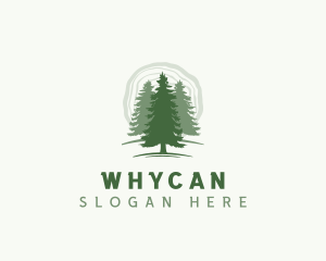 Forest - Pine Forest Tree logo design