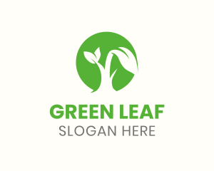 Green Eco Sprout logo design