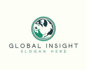 Global Earth Sphere logo design