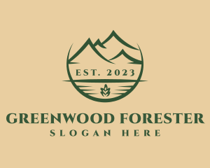 Mountain Forest Camp logo design