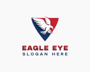 Patriotic Flying Eagle logo design