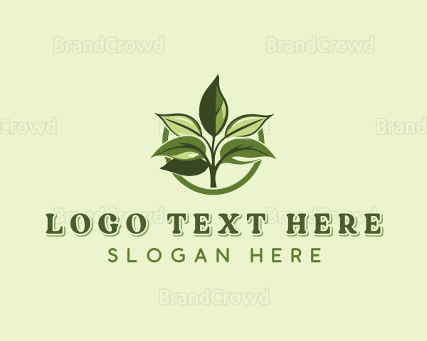 Organic Herbal Garden Logo