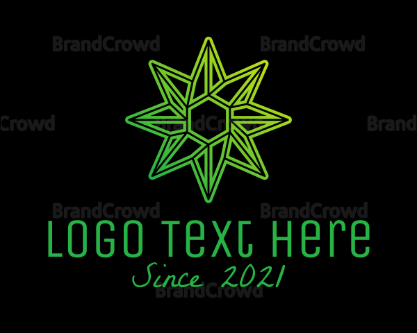 Green Environmental Star Logo