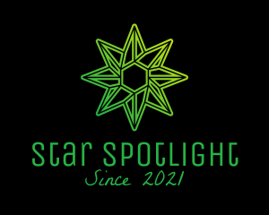 Green Environmental Star  logo design