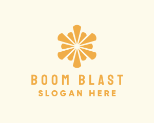 Elegant Sun Burst logo design