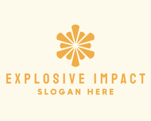 Elegant Sun Burst logo design