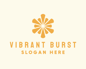 Burst - Elegant Sun Burst logo design