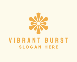 Elegant Sun Burst logo design