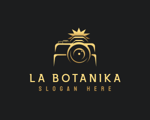 Video - Multimedia Photo Camera logo design