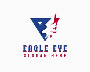 Patriotic USA Eagle logo design