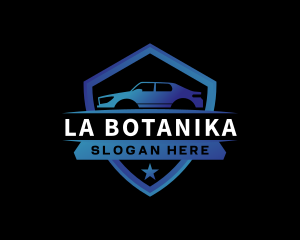 Vehicle Car Detailing Logo