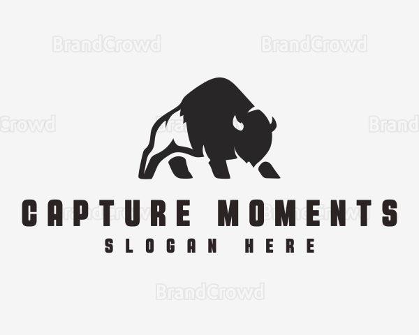 Bison Outdoor Safari Logo