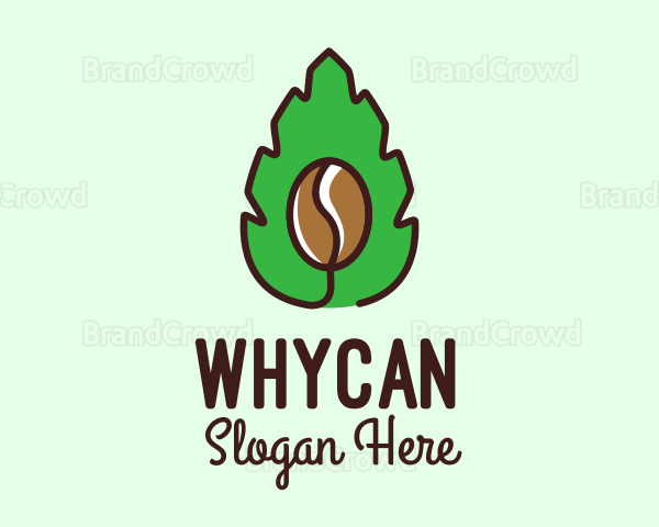 Herbal Coffee Bean Logo