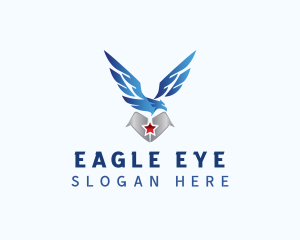 Eagle Wings Aviation logo design