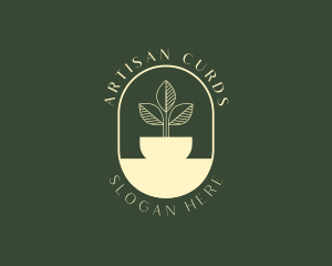 Leaf Sprout Plant logo design