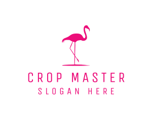 Pink Flamingo Silhouette logo design