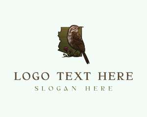 Feathers - Arizona Nature Bird logo design