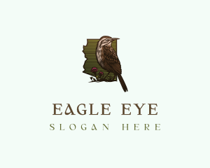 Arizona Nature Bird logo design